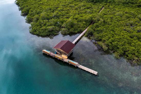 Caribbean Sea, Good Company & Wondrous Wildlife