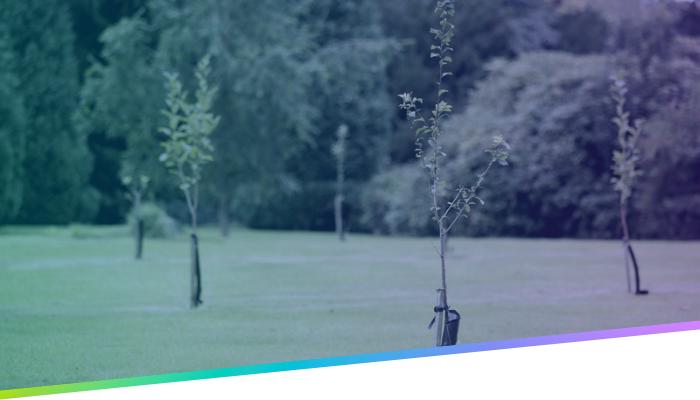Planting with Purpose: Building a Forest with UCaaS