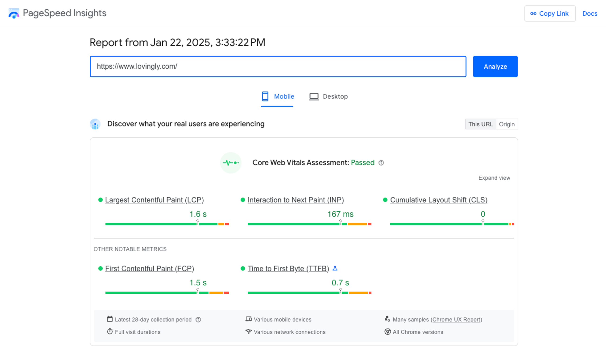 print screen showing page speed insights