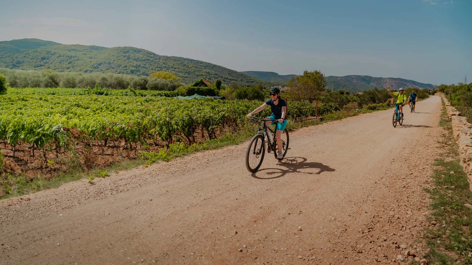 Woman cycling past some vineyards in Croatia