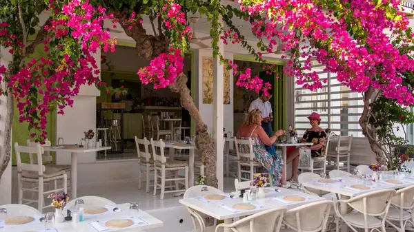 Restaurant with bougainvillea flowers