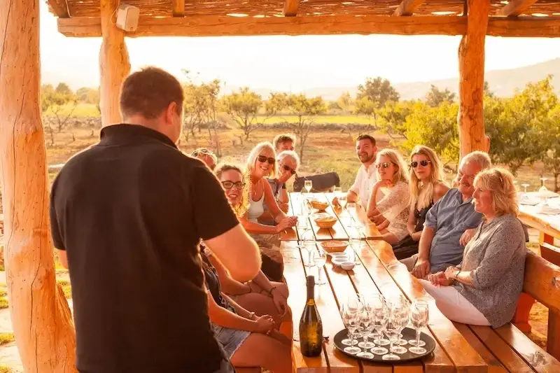 A group of people enjoying a Croatian wine tasting on a vineyard as a part of their luxury catamaran cruise experience with Yacht Getaways.