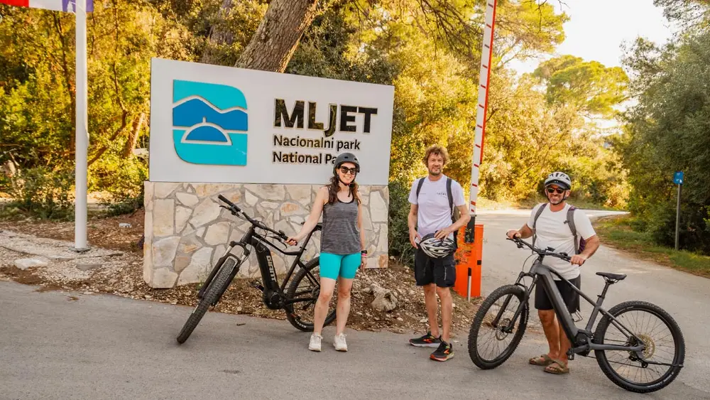 Group of cyclists in Mljet National Park