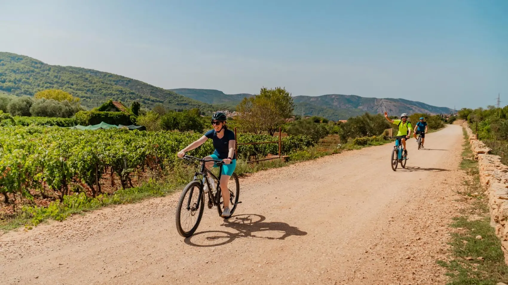 Cyclists cycle past a vineyard in Croatia