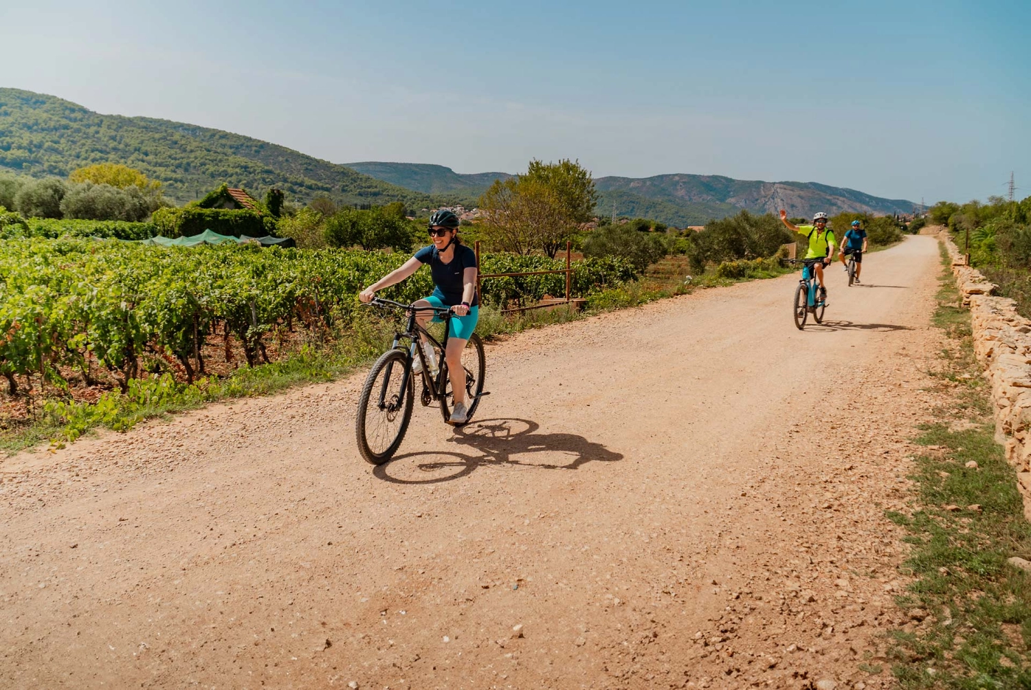 Group of people cycle past a vineyard in Stari Grad in Croatia