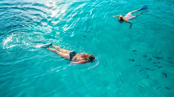 People snorkelling in clear blue water