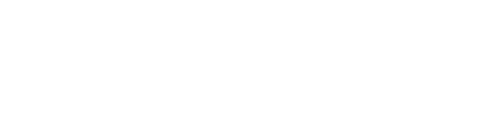 The Travel Magazine logo