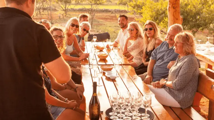 A group of people at a vineyard in Croatia at sunset enjoying an exclusive wine tasting while on their private group catamaran holiday in the Croatian Islands with Yacht Getaways.