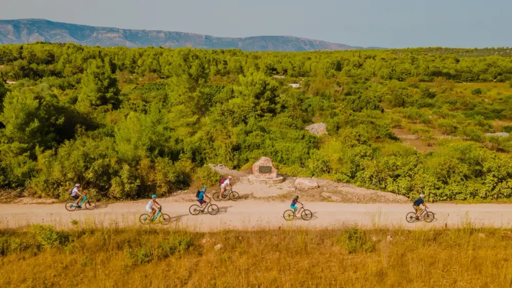 Group cycling through vineyards of Stari Grad Plains on Hvar during a luxury cycle and sale cruises in Croatia.