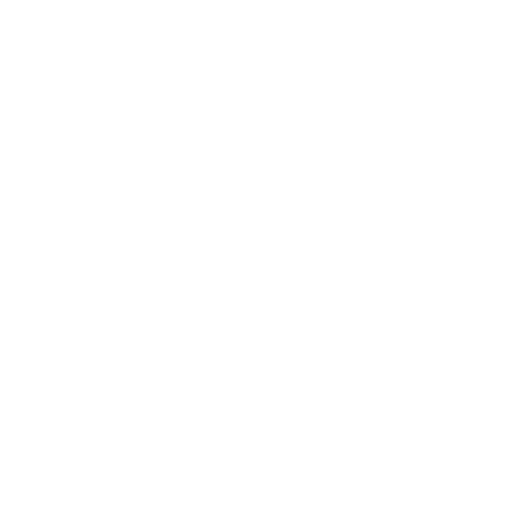 Bike icon