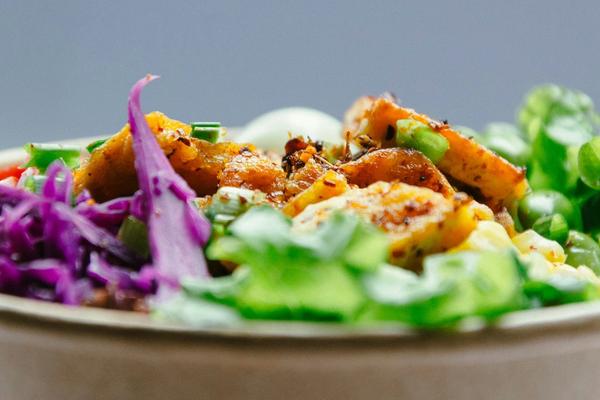 Nurturing Your Inner Meadow: How Therapeutic Diets Can Help Manage Chronic Health Conditions