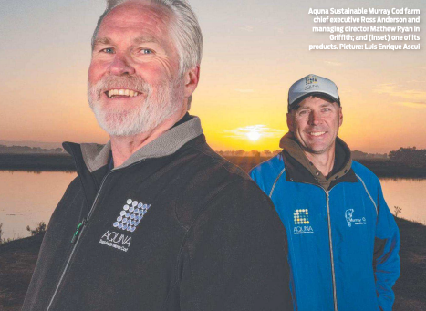 Halal nod gives Murray cod Middle East entree