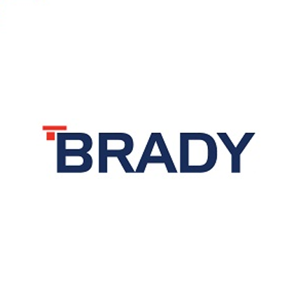 Brady Group