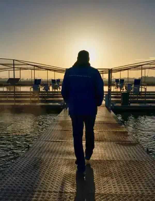 Pioneering premium, eco-friendly aquaculture in Australia