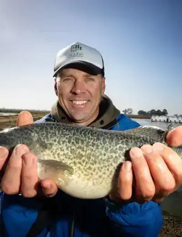 The single pond that became a big fish and hooked the world on the Murray cod