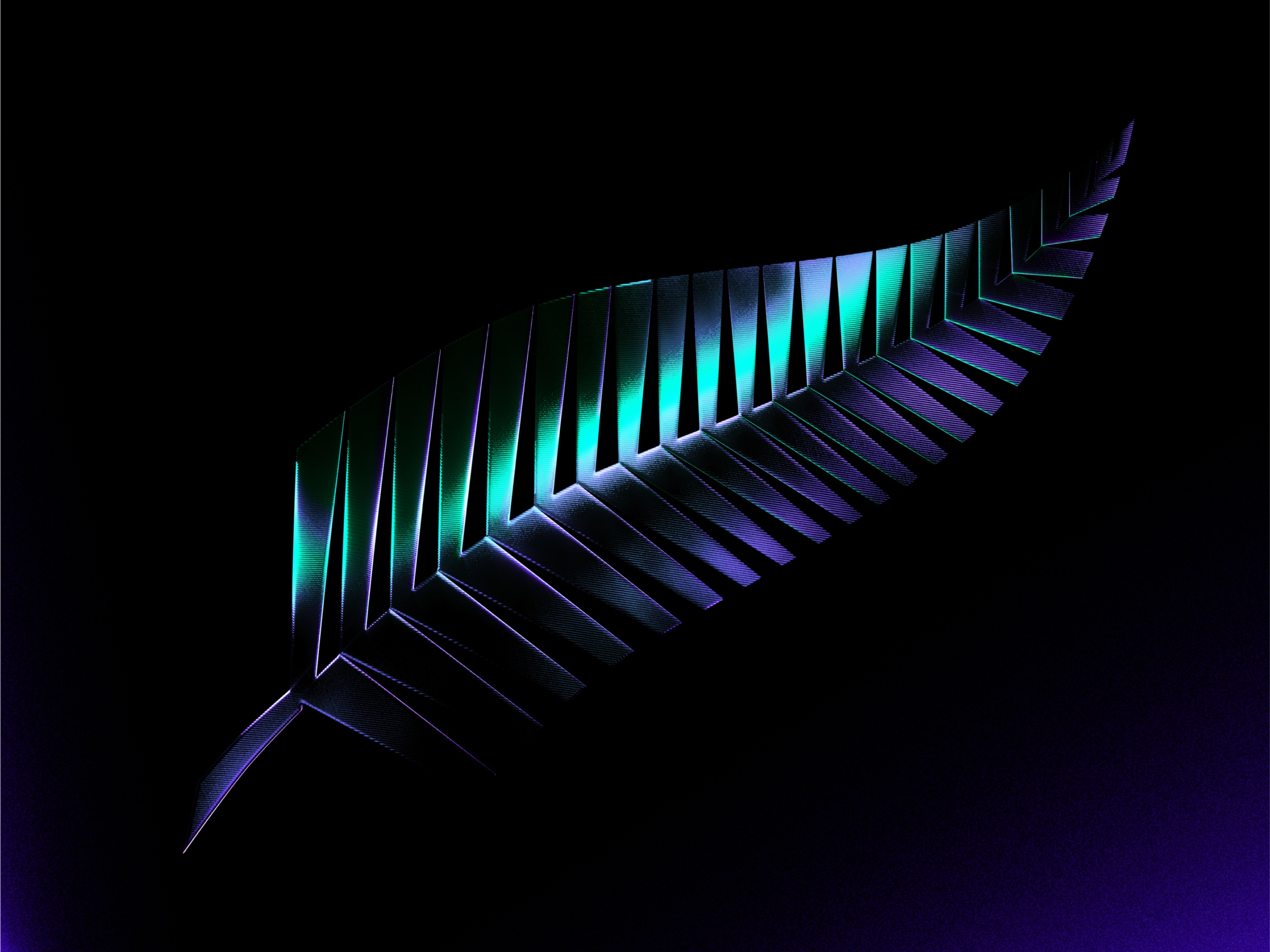 New Zealand Rugby identity: the silver fern as a faceted sculpted mark in teal and violet