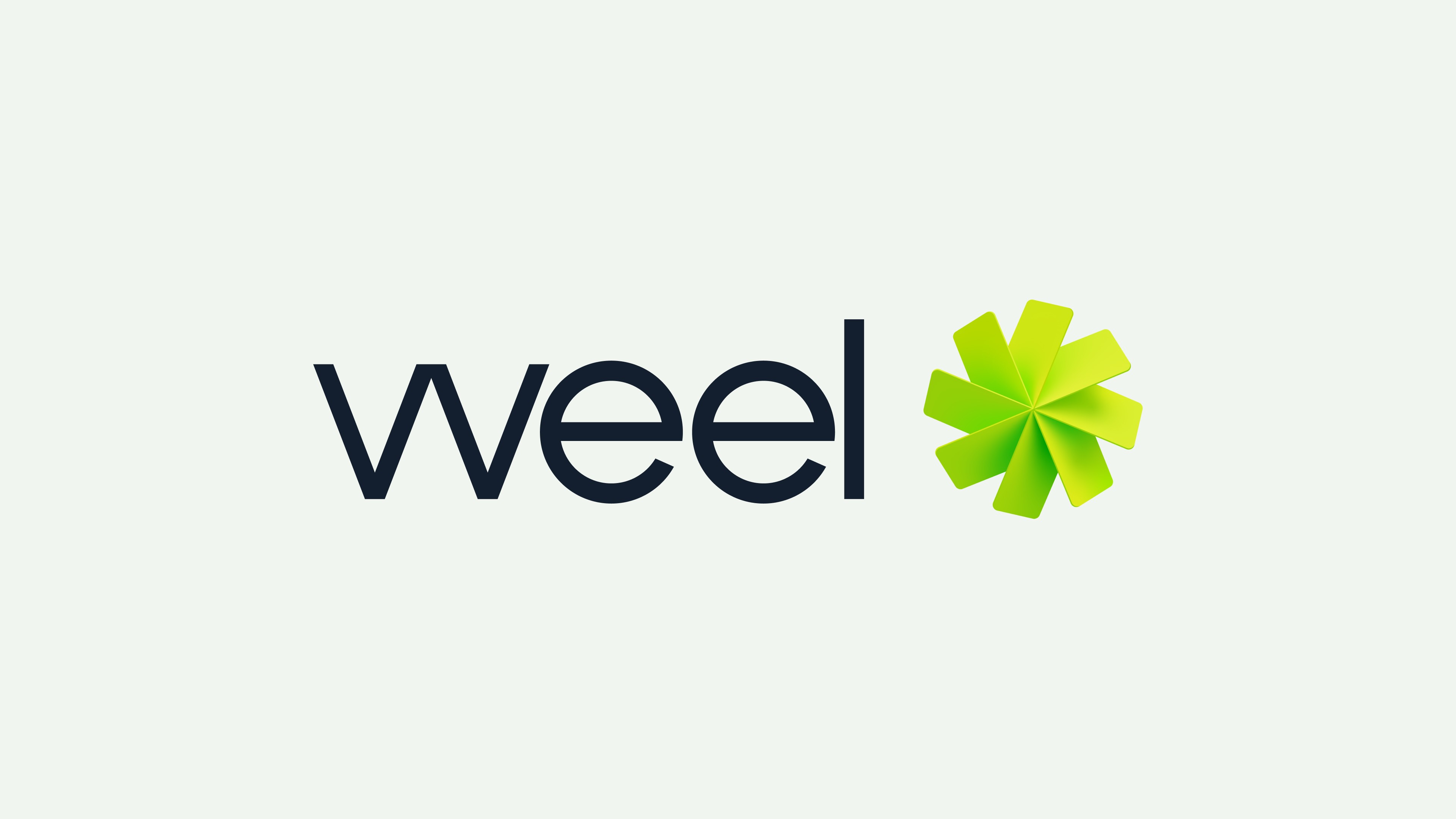 Wordmark and green pinwheel symbol paired on a pale mint ground, from the fintech identity