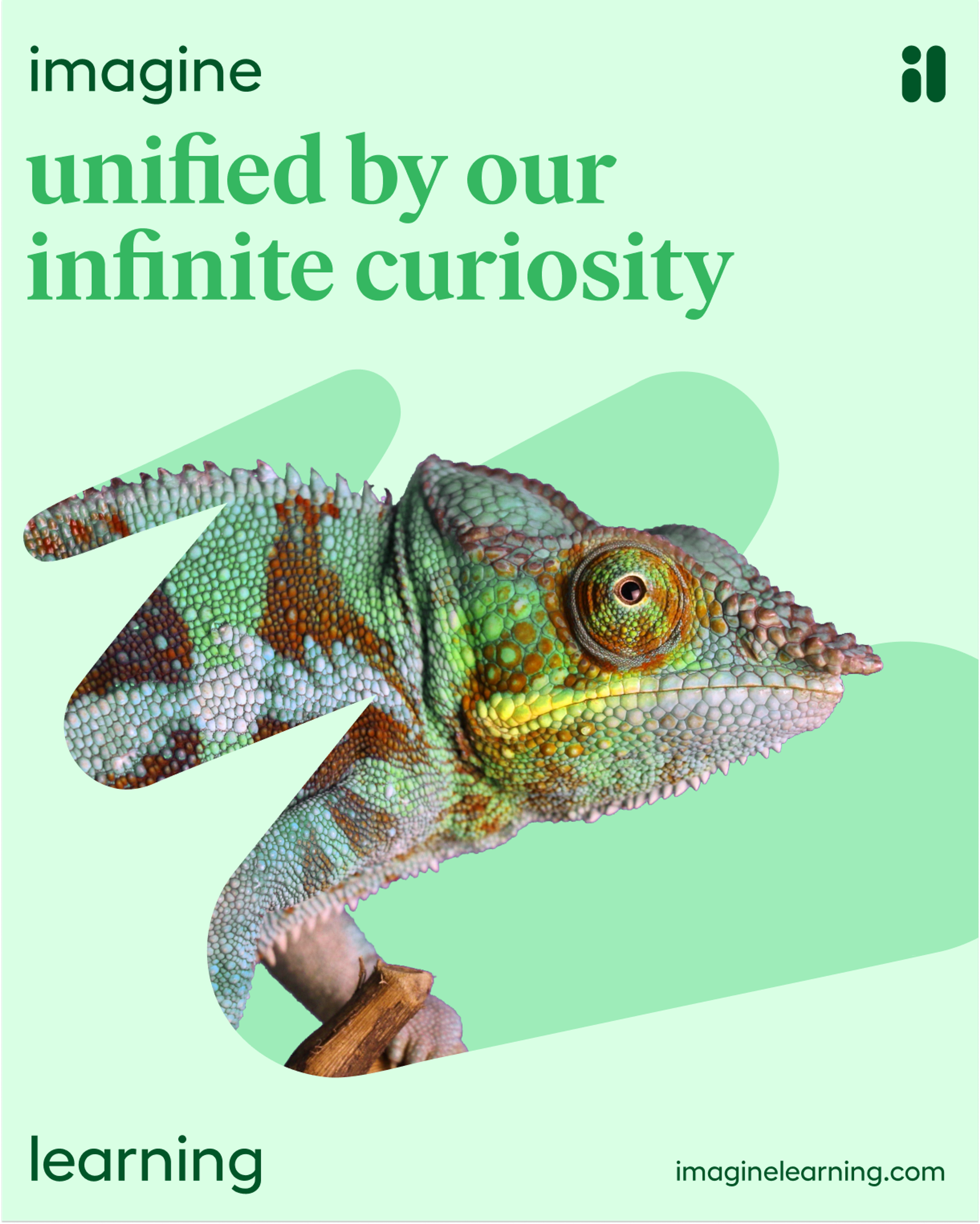 Mint campaign poster pairing a chameleon head with 'unified by our infinite curiosity'