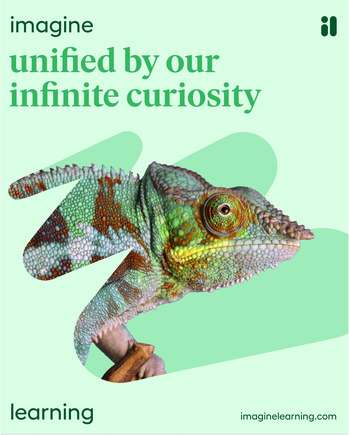 Mint campaign poster pairing a chameleon head with 'unified by our infinite curiosity'