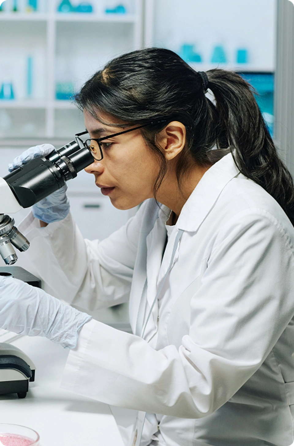 AMILI research studies