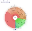 Information to Insights