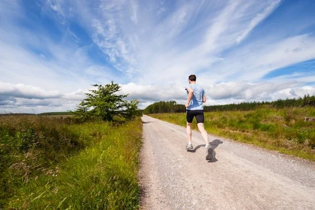 Gut Microbiome 101: Exercise