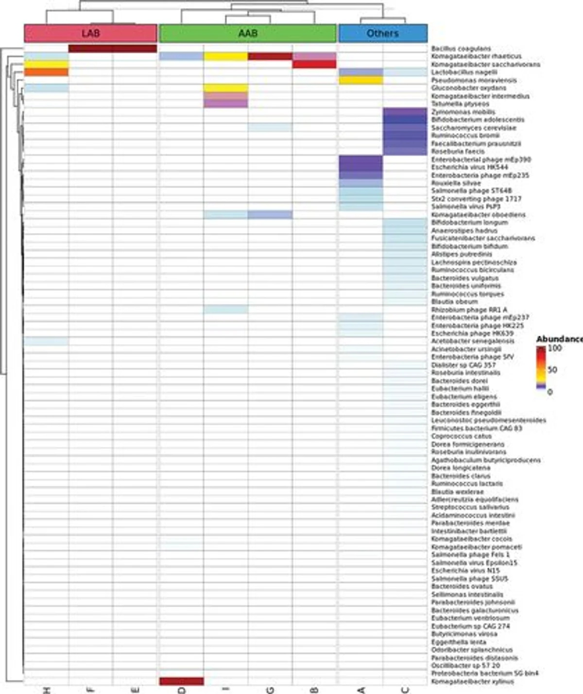 CyTA - Journal of Food (2022)