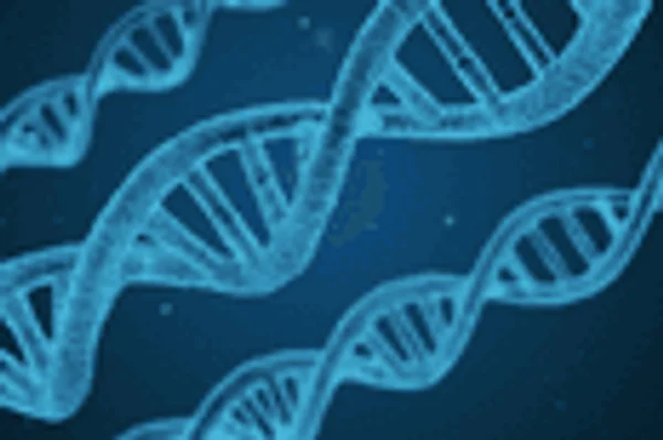 Bacteroidetes and Firmicutes: What’s the Deal?