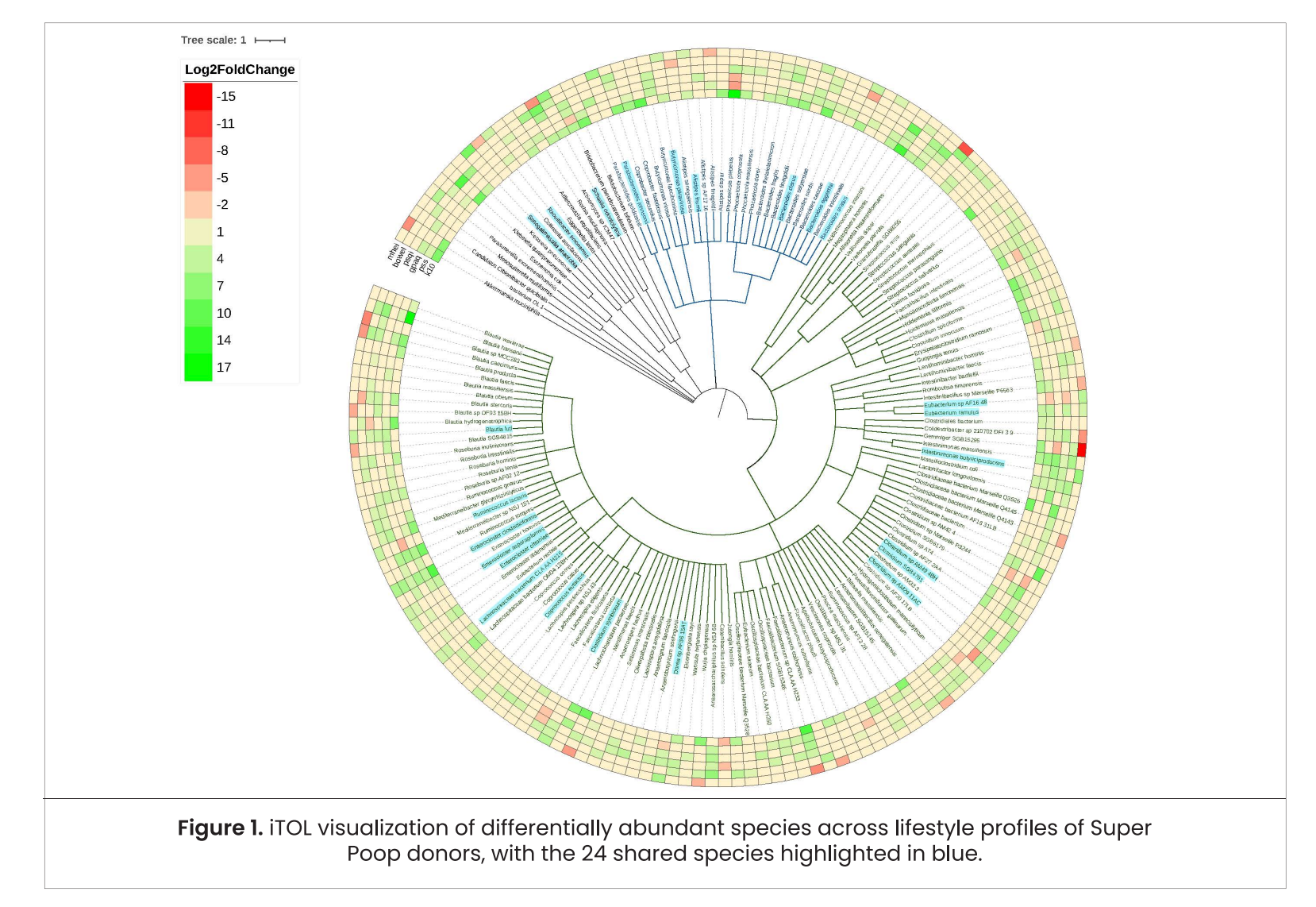 Microbiome Interactions in Health and Disease (2026)