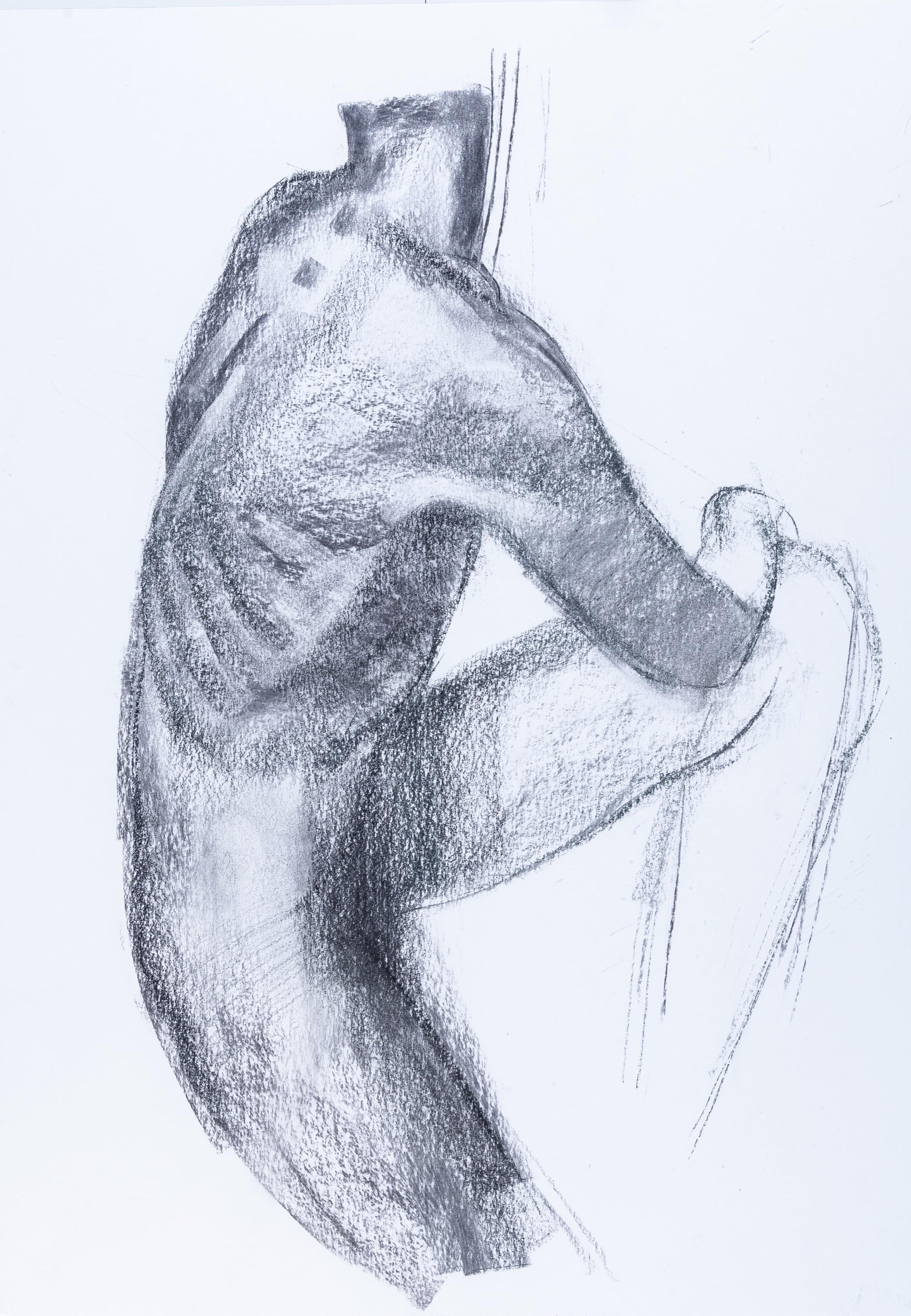 Study of Body