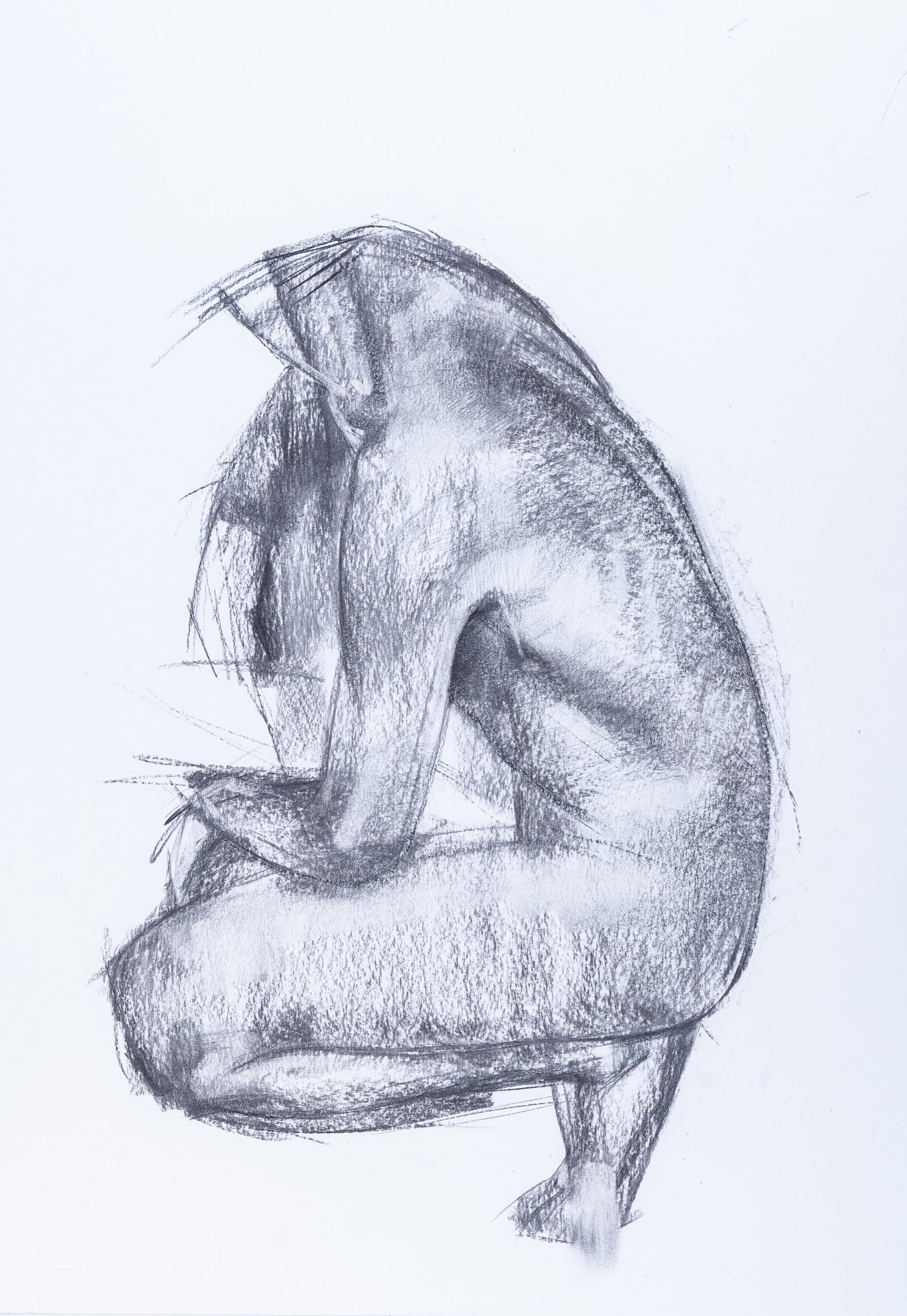 Study of Body