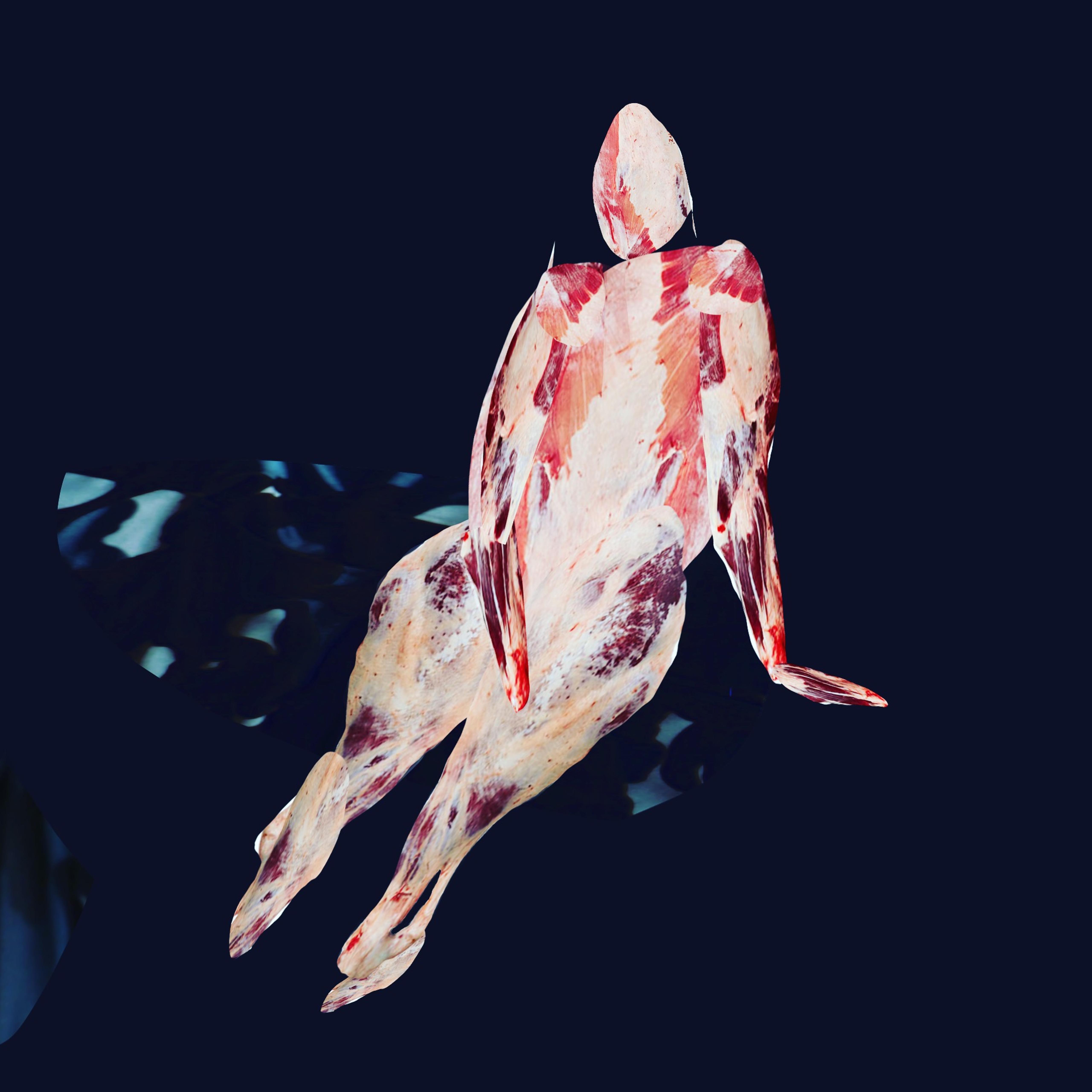 Corporeity