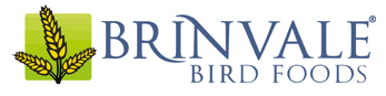 Brinvale logo
