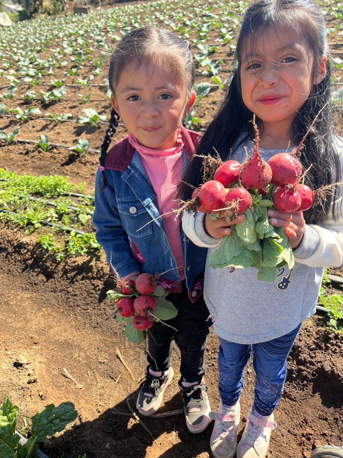 Two girls with bunches of radishes in their hands