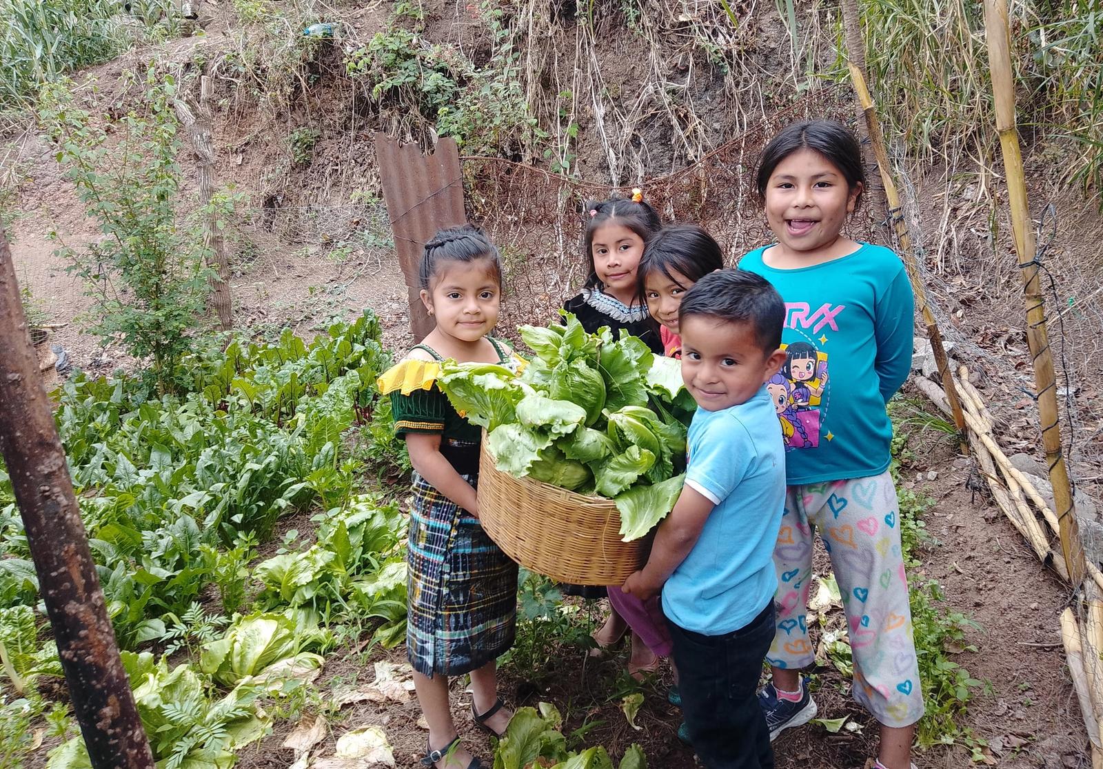 Children tending a classroom garden