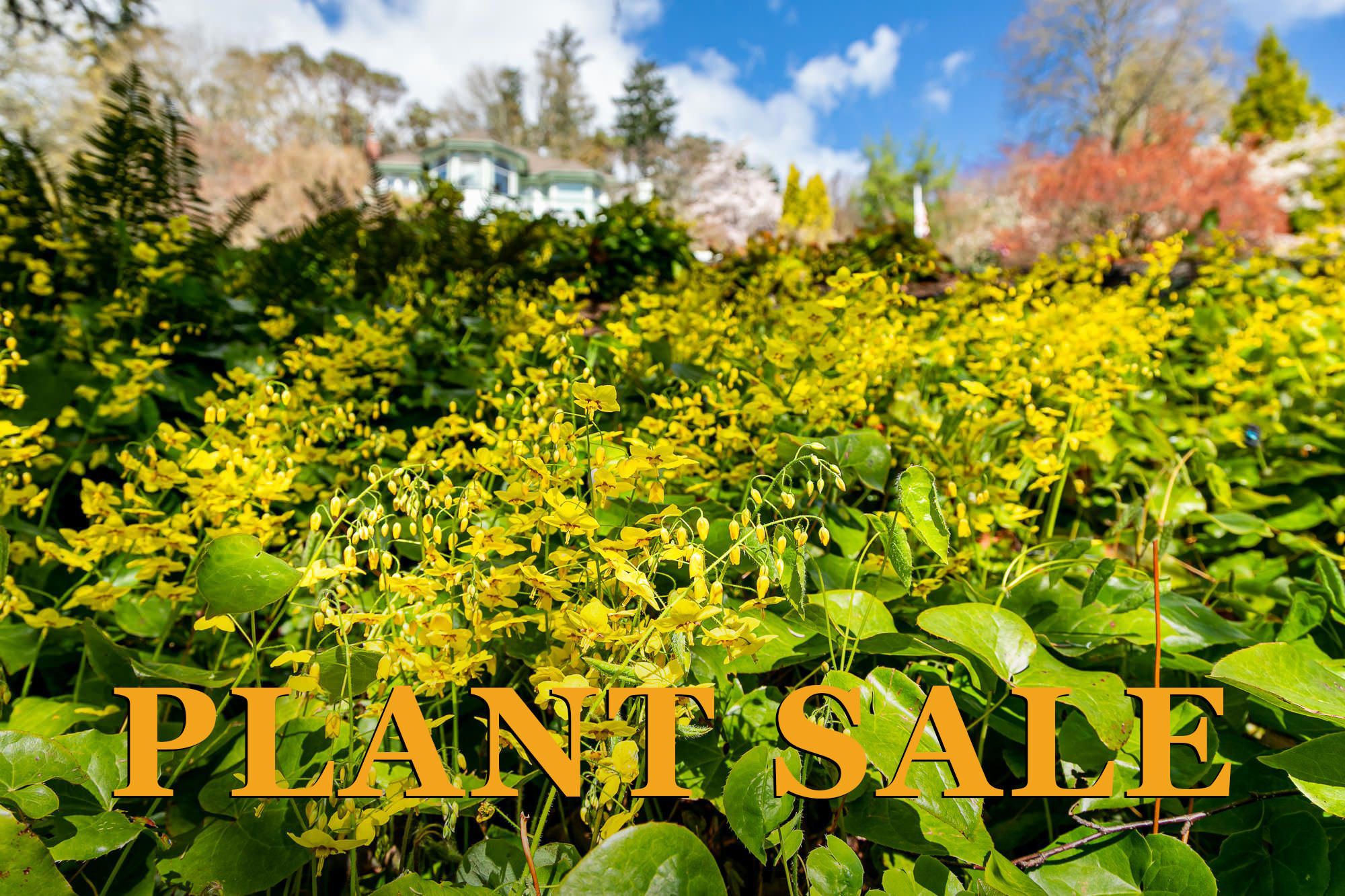 Vista Gardens’ Annual Plant Sale Fundraiser