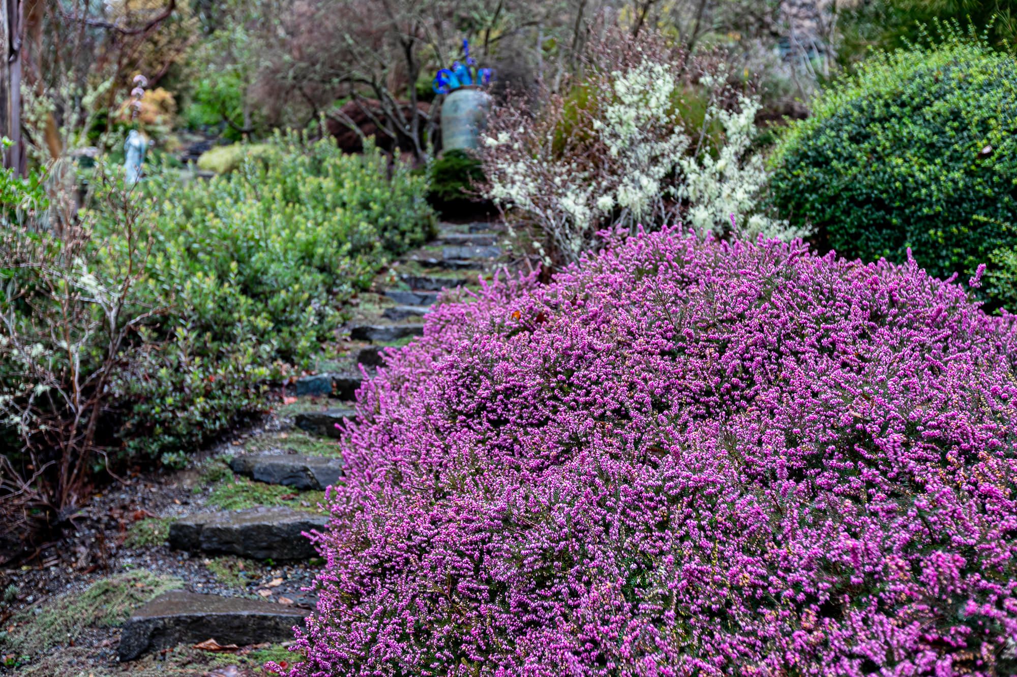 Open Garden Day