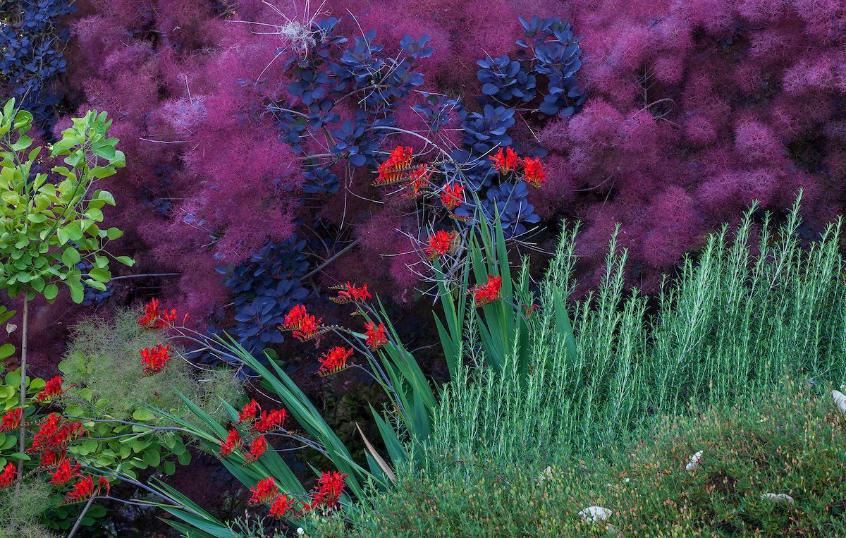 英語・図録　Gardens in Perpetual Bloom Gardens in Perpetual Bloom | Nancy Keeler | nostos books