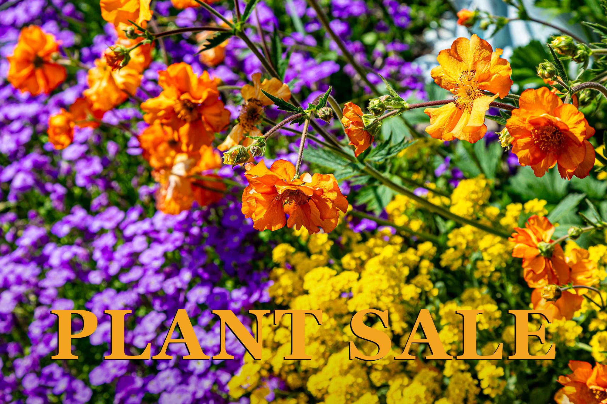 Vista Gardens’ Annual Plant Sale Fundraiser