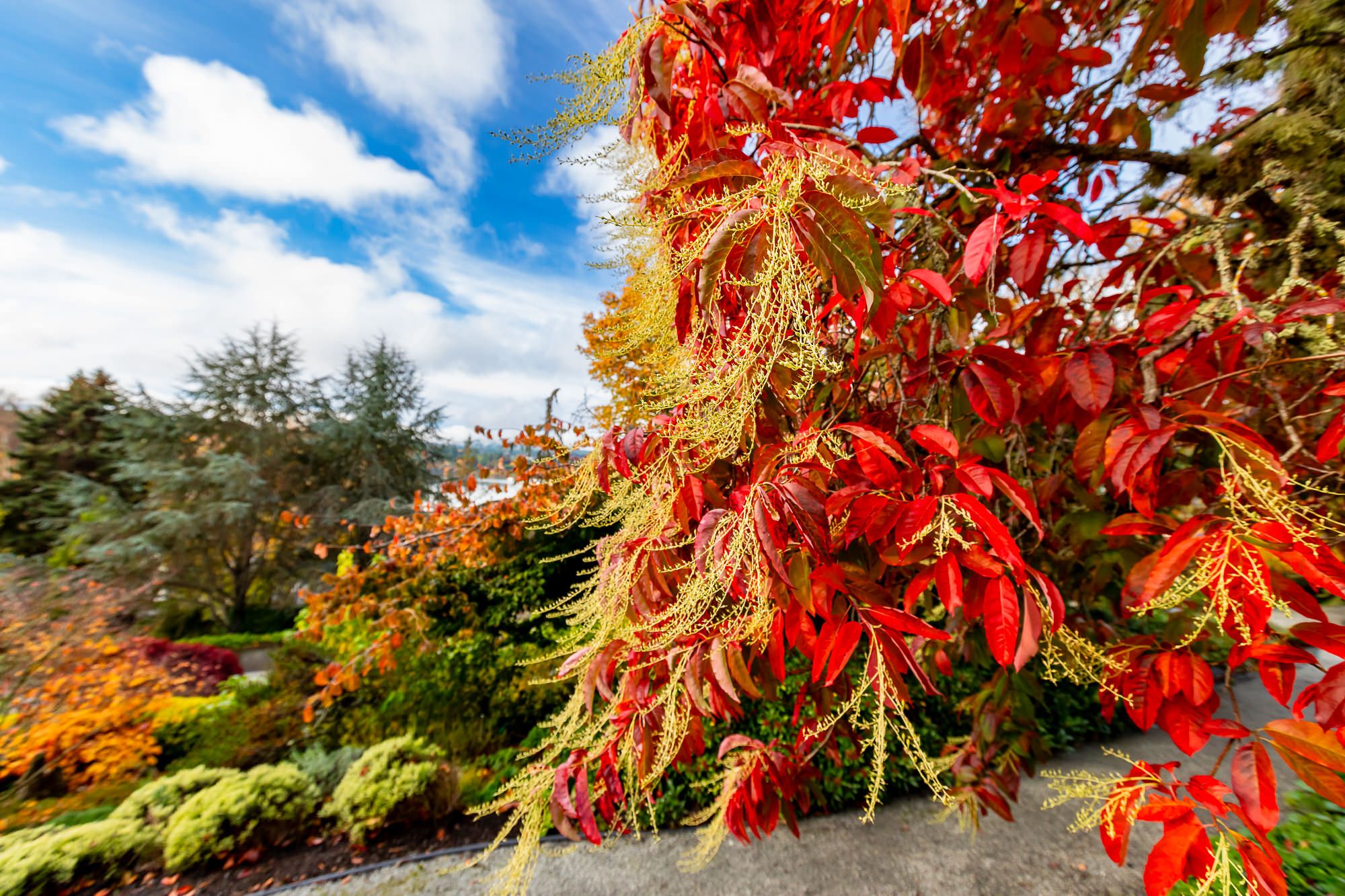 Open Garden Day