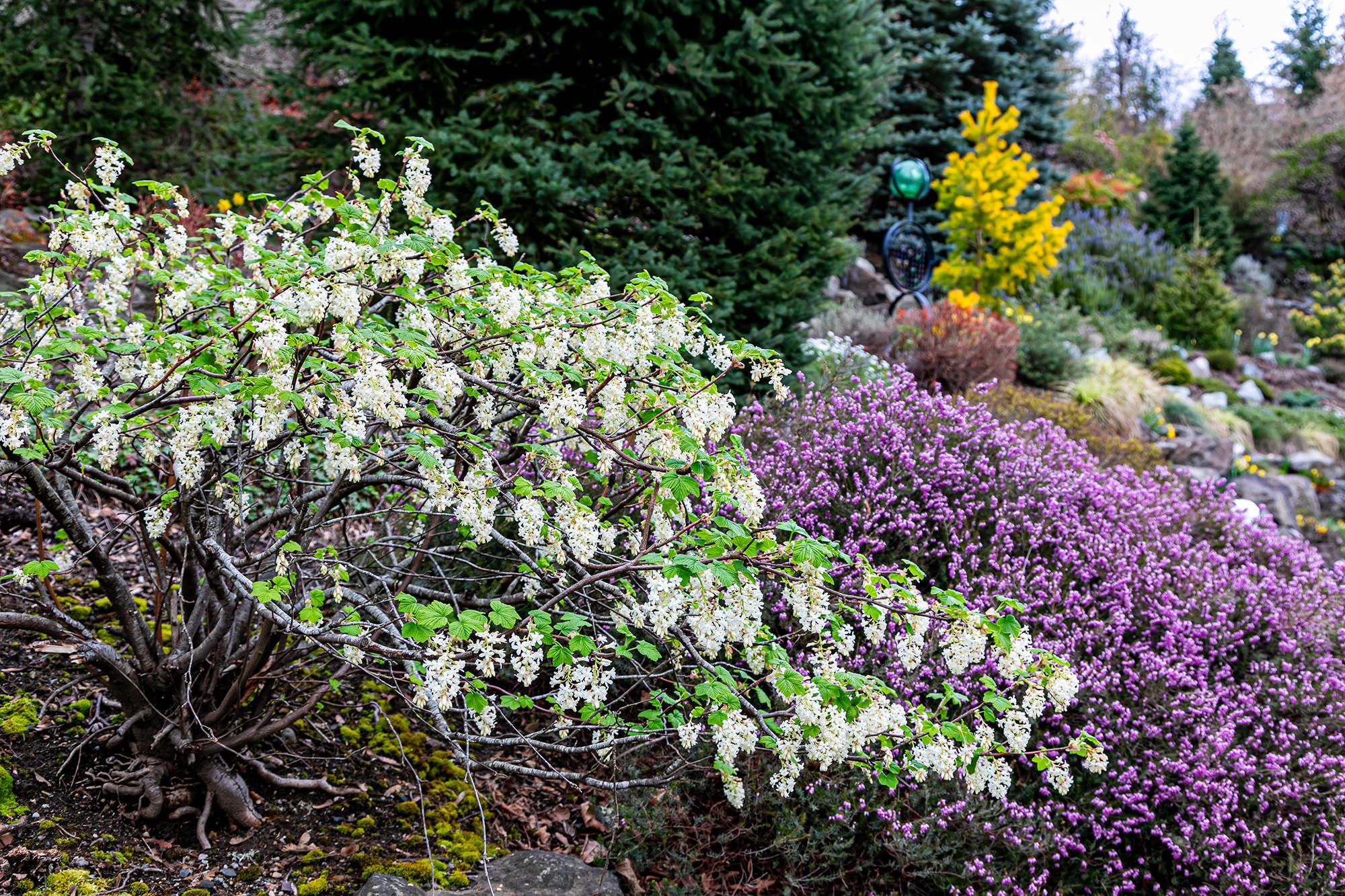 Tour: Early Bloomers
