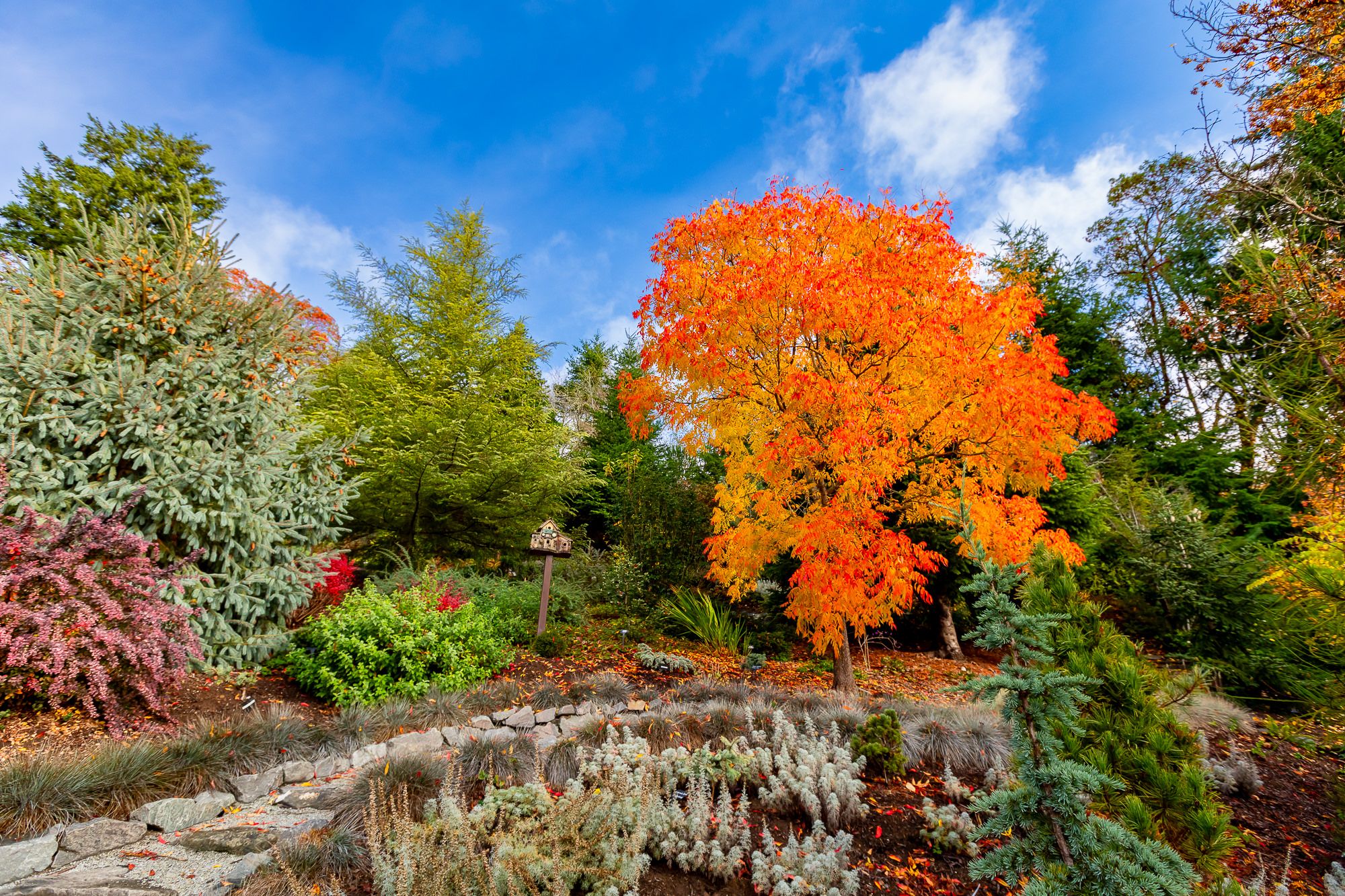 Open Garden Day