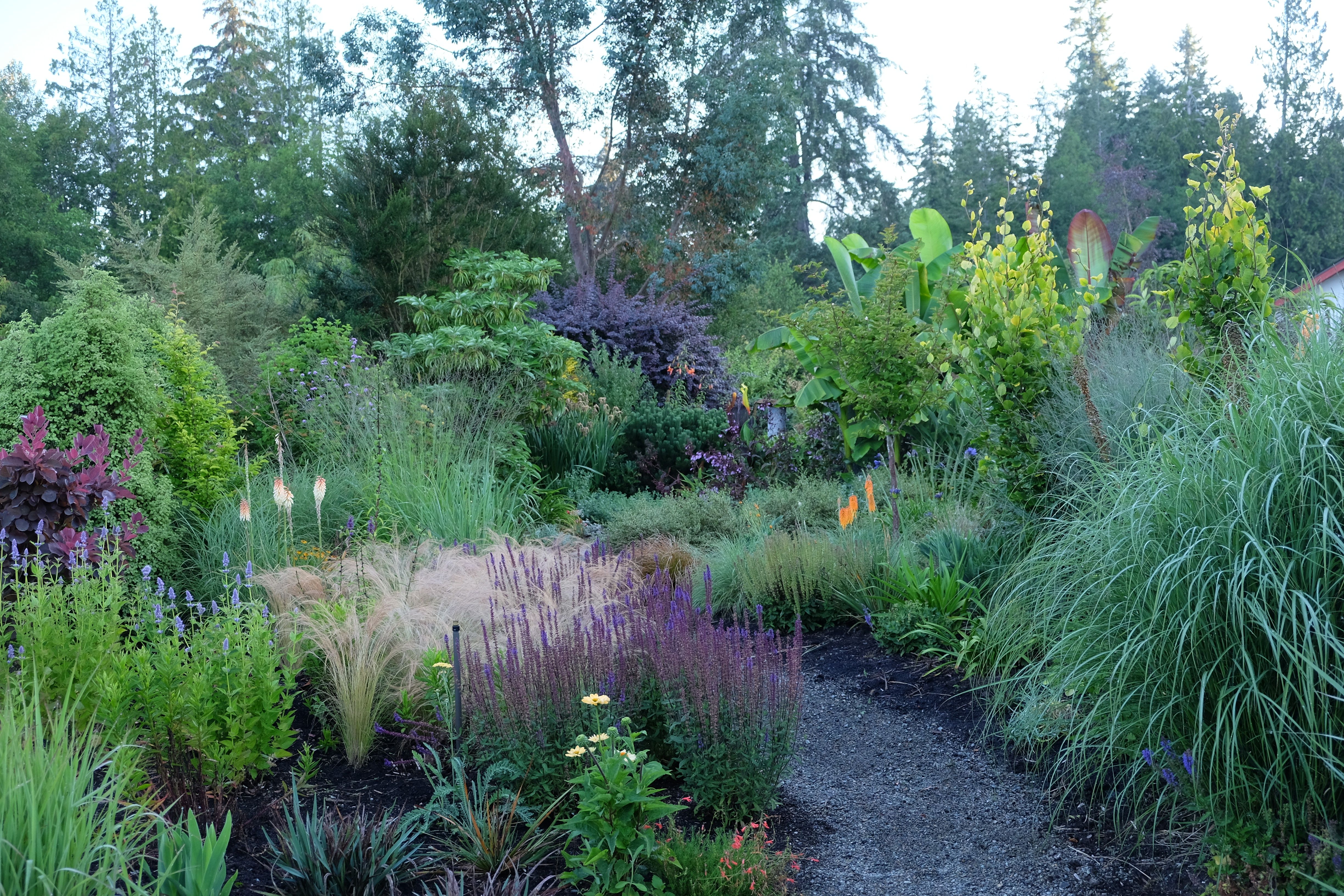 Designing Four-Season Grass Gardens: Beauty and Resilience