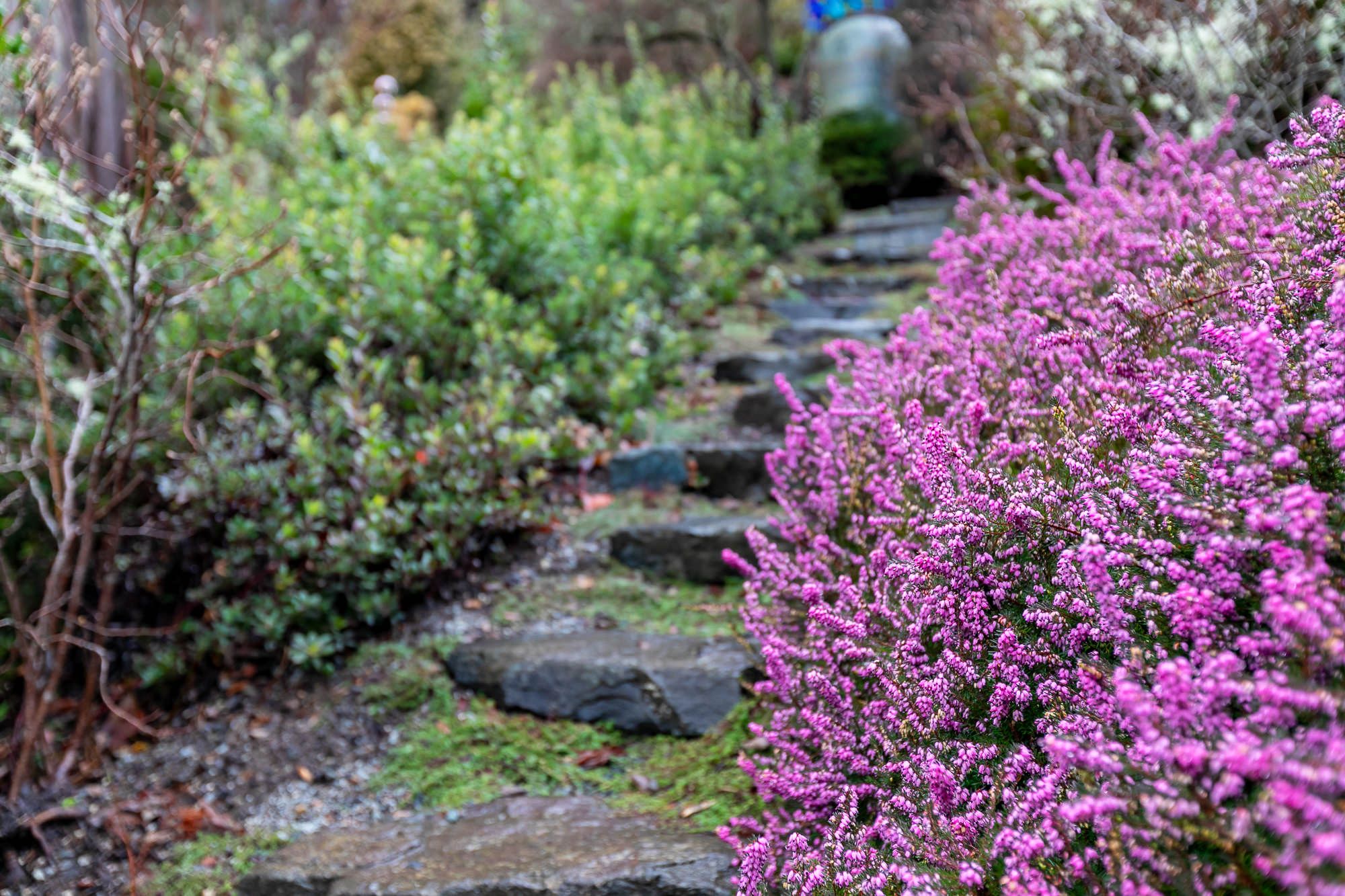 Open Garden Day