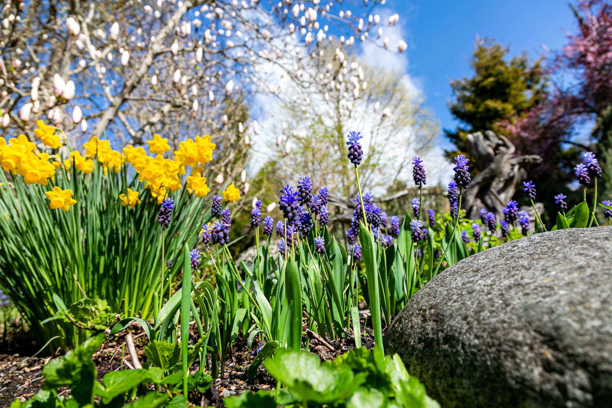The Northwest Resilient Garden - Part 2 Water