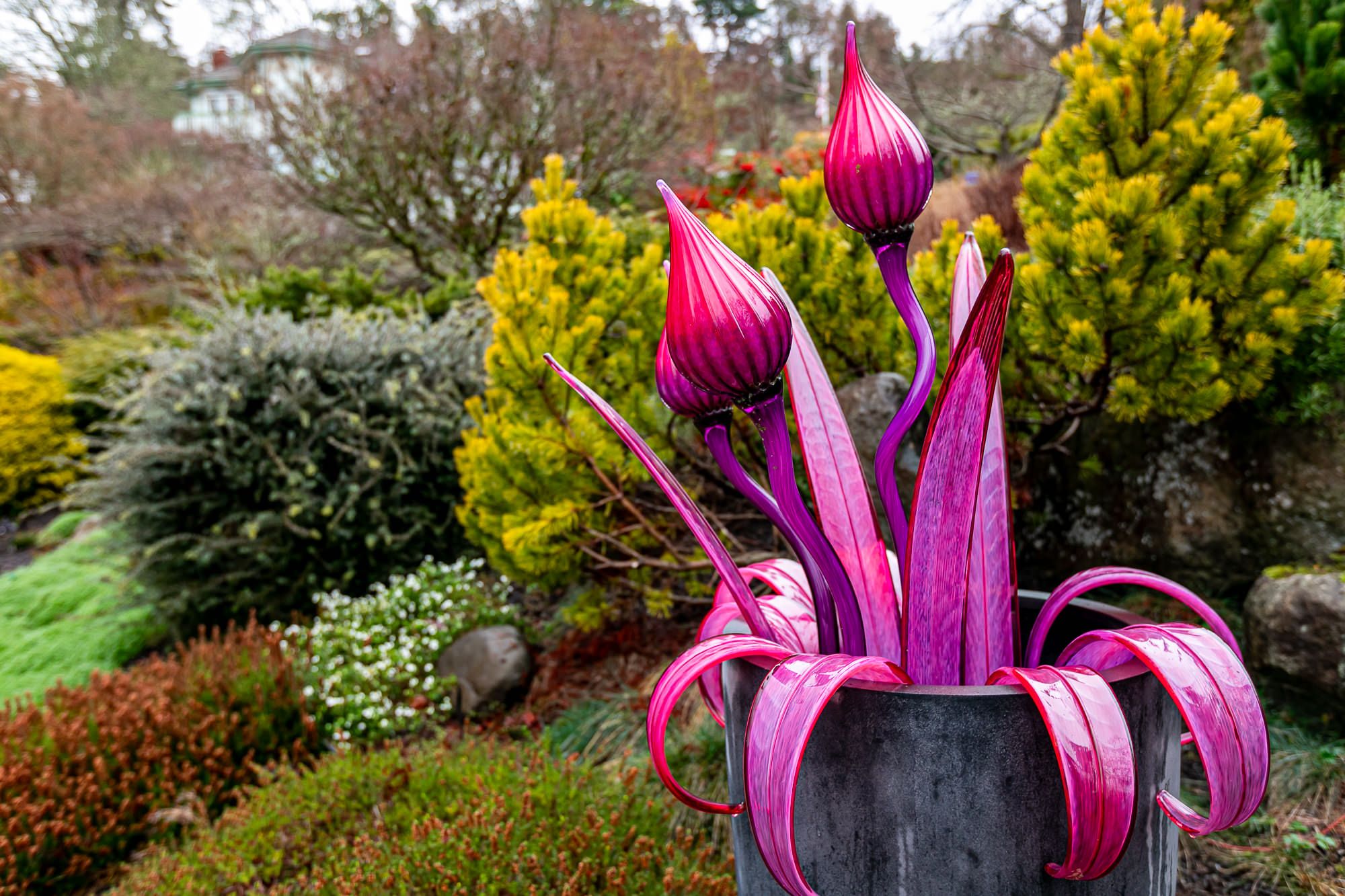 Open Garden Day