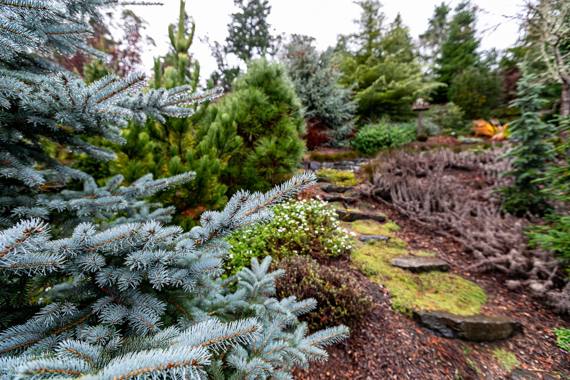 Open Garden Day