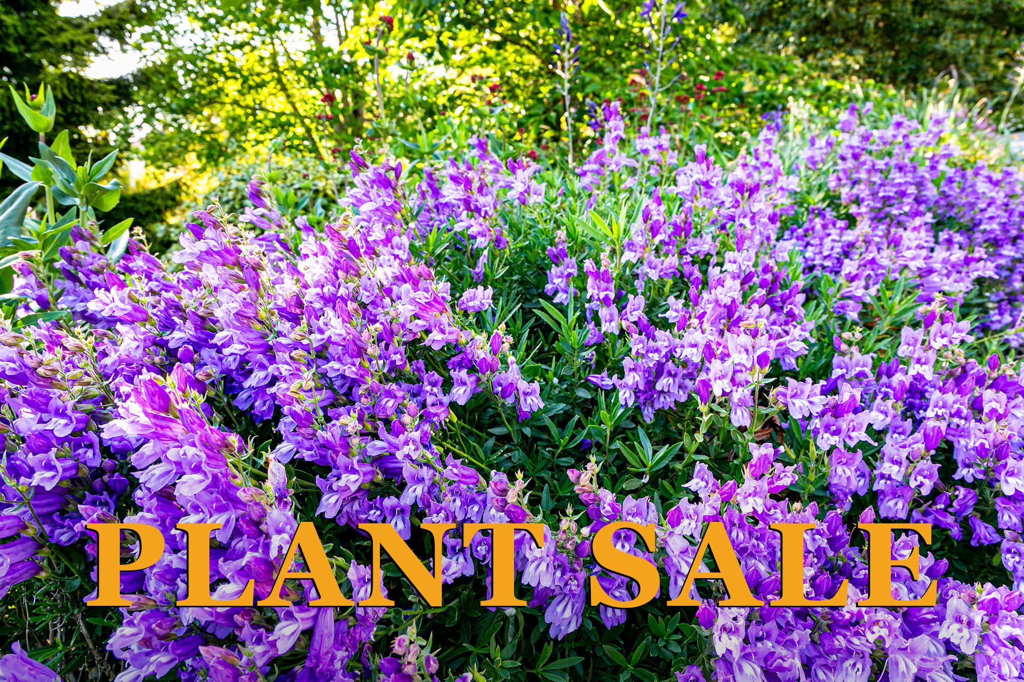 Earth Day Plant Sale
