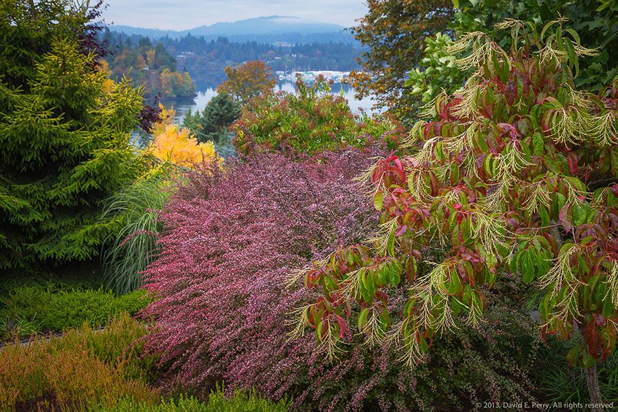 Archival June 2013 - Valerie Easton of Seattle Times Tours Vista Gardens