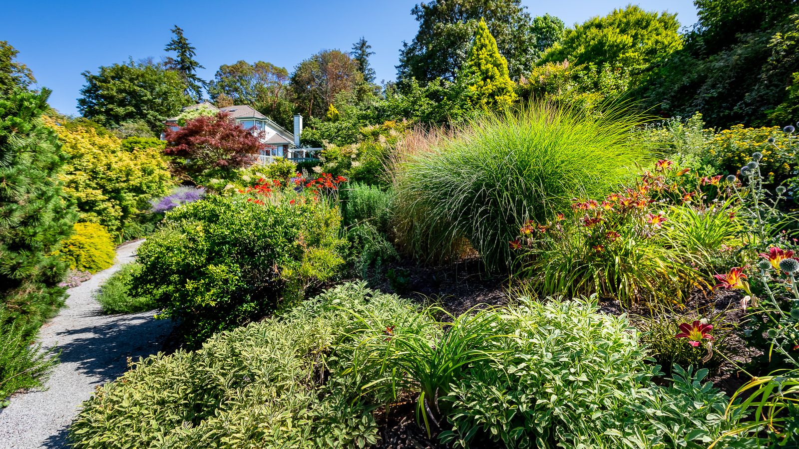 Species garden Diverse and Delightful Garden Areas | Bremerton, Washington
